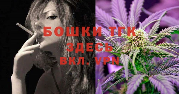 ПСИЛОЦИБИНОВЫЕ ГРИБЫ Инсар