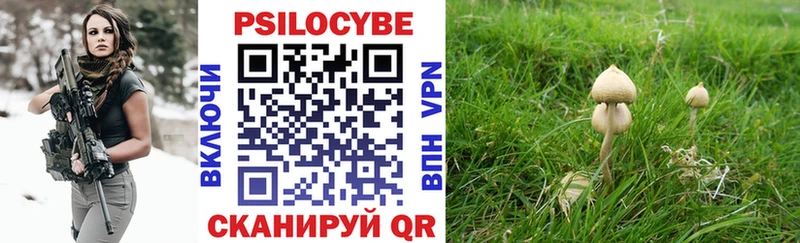 Галлюциногенные грибы Psilocybine cubensis  Агидель 